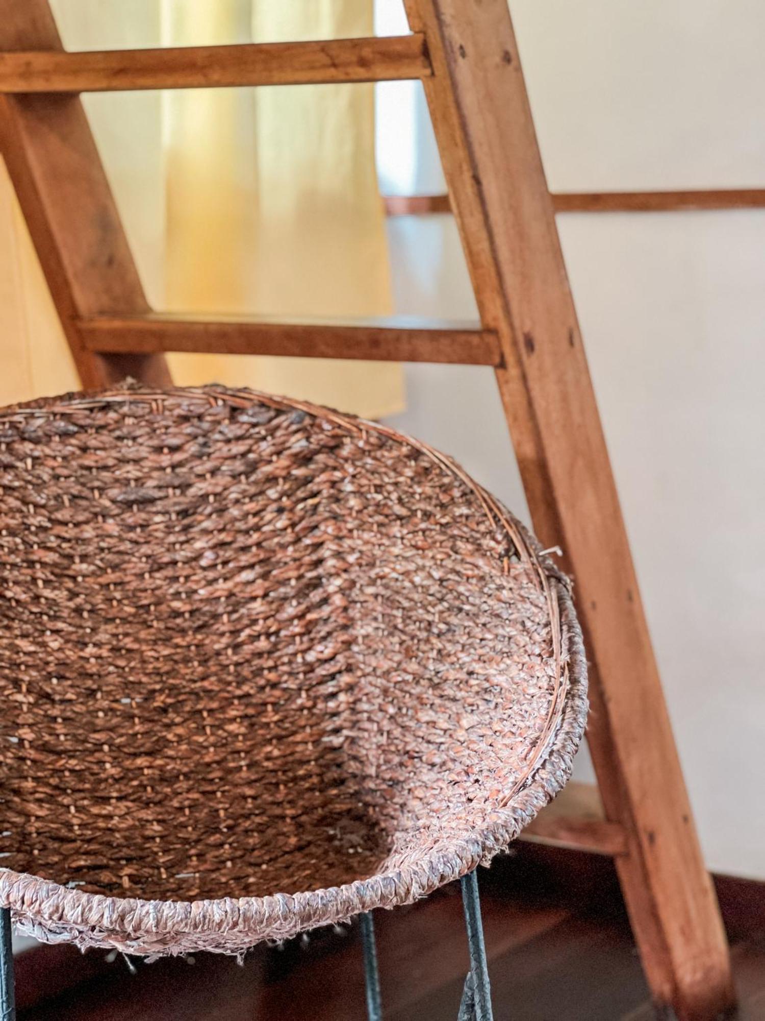 Nuba Boutique Hostel Palomino Eksteriør billede